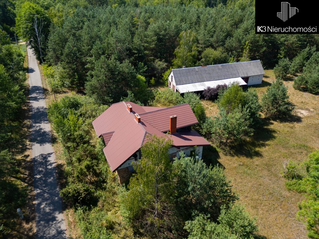 Działka budowlana na sprzedaż Orzełek  80 000m2 Foto 2