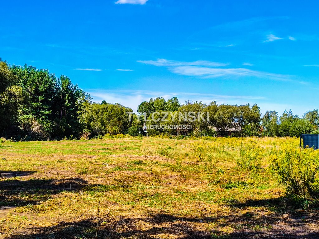 Działka budowlana na sprzedaż Stare Budy  1 253m2 Foto 4