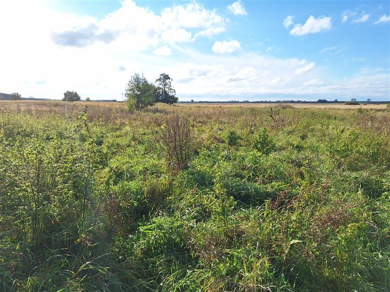 Działka budowlana na sprzedaż Rusko, Rusko  1 442m2 Foto 9