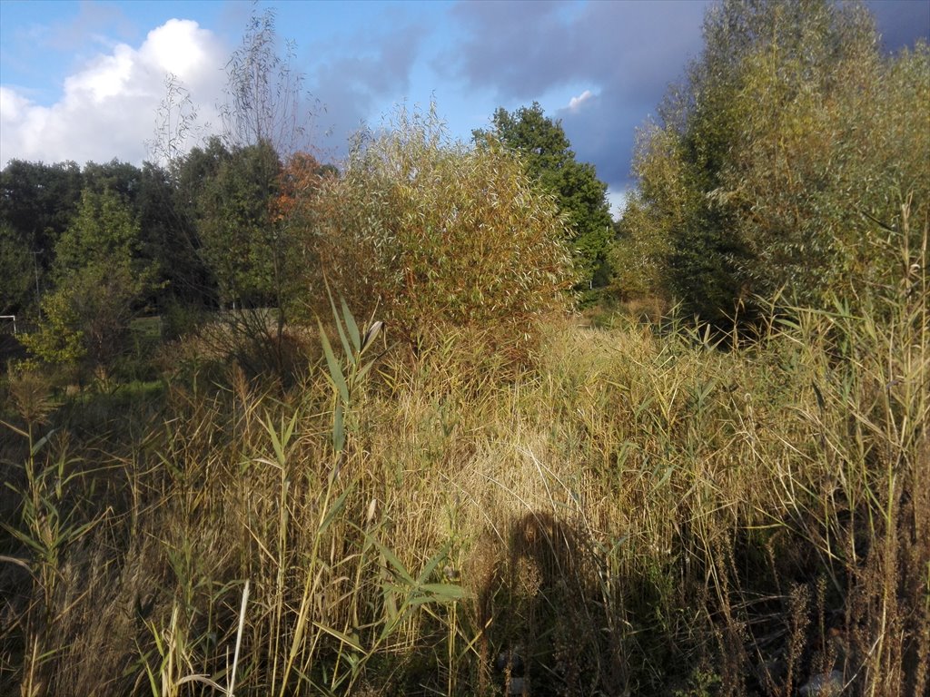 Działka pod rezydencję z dużym ogrodem i dostępem do rzeki Pabianice, Jutrzkowicka/Świetlickiego  5 250m2 Foto 1
