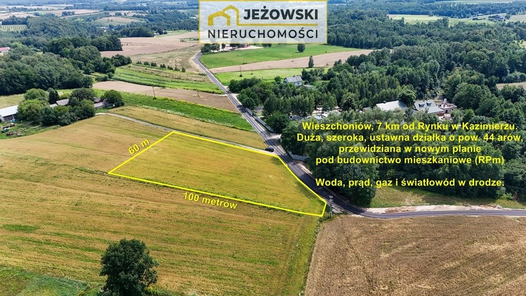 Działka rolna na sprzedaż Wierzchoniów  4 400m2 Foto 4