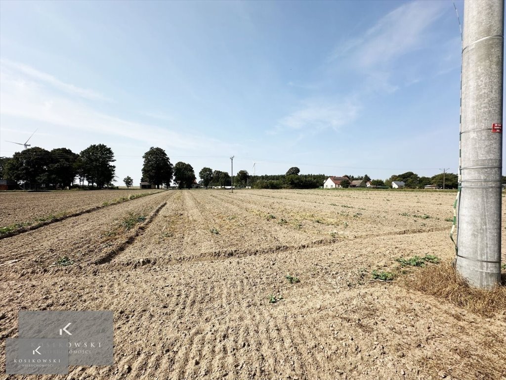 Działka inna na sprzedaż Stogniewice, Stogniewice  3 500m2 Foto 11