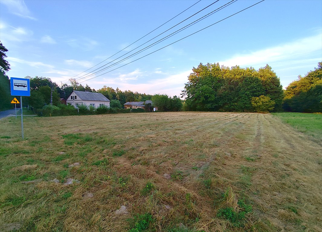 Działka budowlana na sprzedaż Kazimierz Dolny  2 670m2 Foto 4