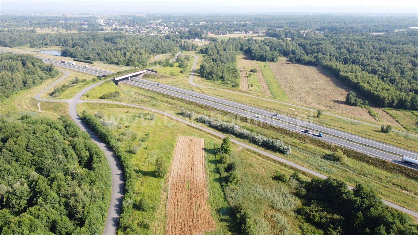 Działka budowlana na sprzedaż Jodłówka  12 700m2 Foto 9