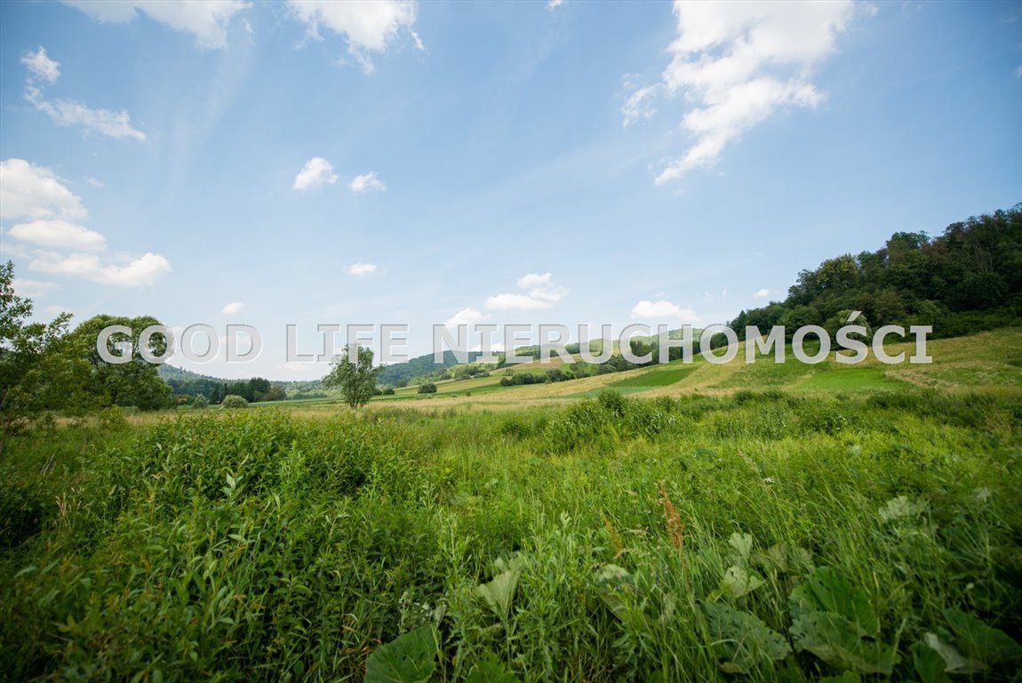 Działka budowlana na sprzedaż Terka, Bieszczady  1 974m2 Foto 12