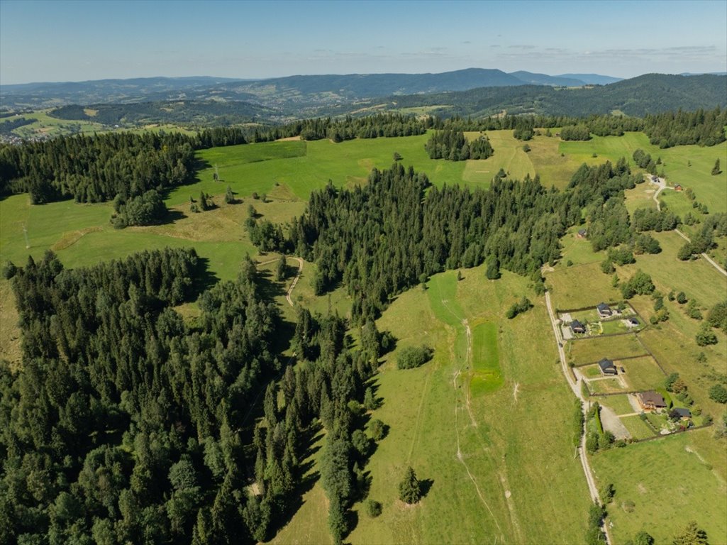 Polecam dużą działkę 29 328 m² w Obidowej na Podhalu Obidowa, 90  29 328m2 Foto 1