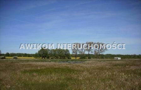 Działka siedliskowa 3900 m² z warunkami zabudowy w Basinie Basin  3 900m2 Foto 1