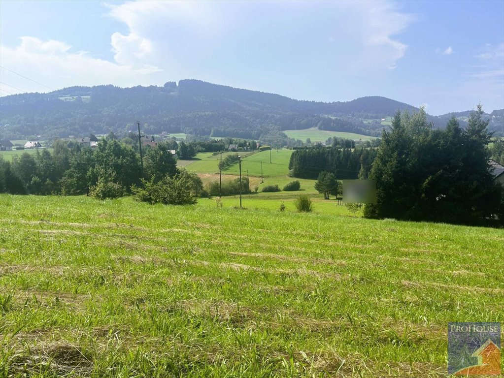 Działka budowlana na sprzedaż Rupniów  2 000m2 Foto 11