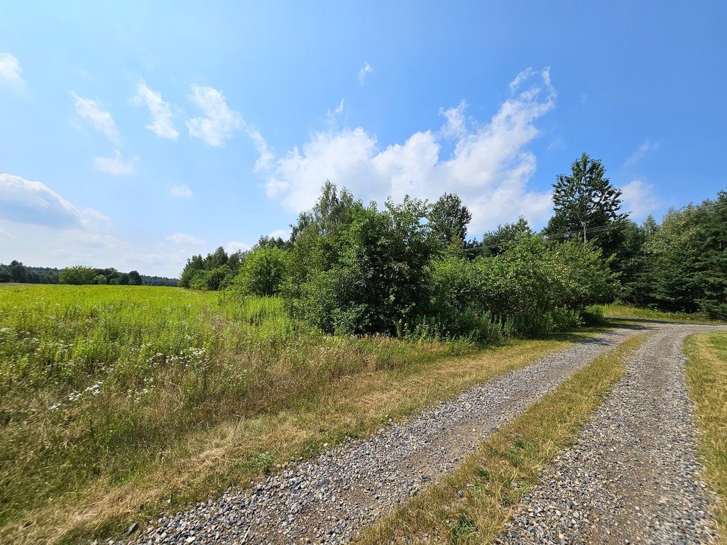 Działka inna na sprzedaż Nowodwór  2 829m2 Foto 3