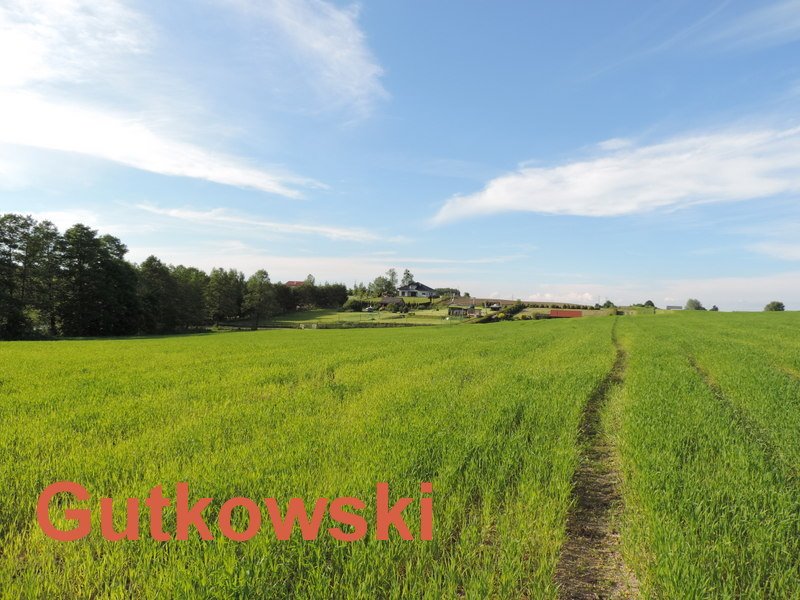 Działka rolna na sprzedaż Jamielnik, gmina Nowe Miasto Lubawskie  10 005m2 Foto 4