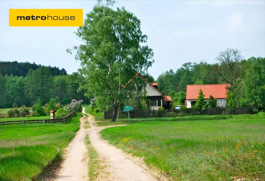 Działka siedliskowa na sprzedaż Pąchy  7 100m2 Foto 1