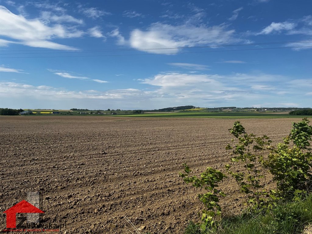 Działka inwestycyjna na sprzedaż Leśnica, Dolna  87 300m2 Foto 2