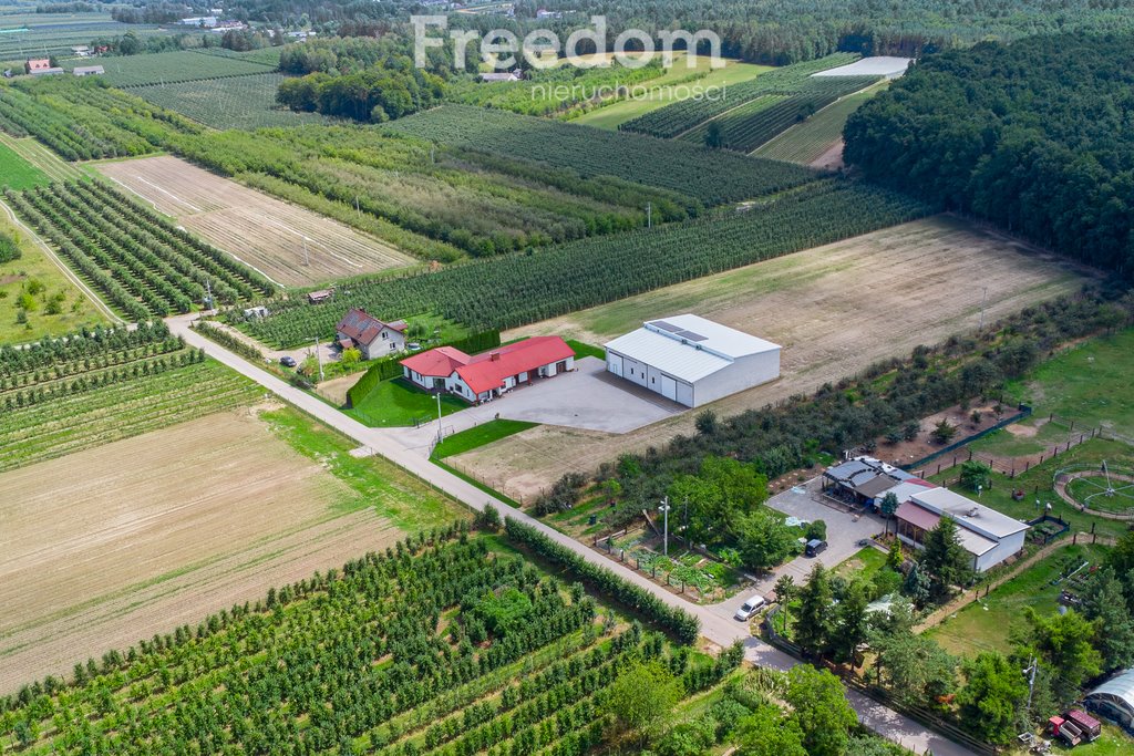 Dom na sprzedaż Wilków Drugi  180m2 Foto 1