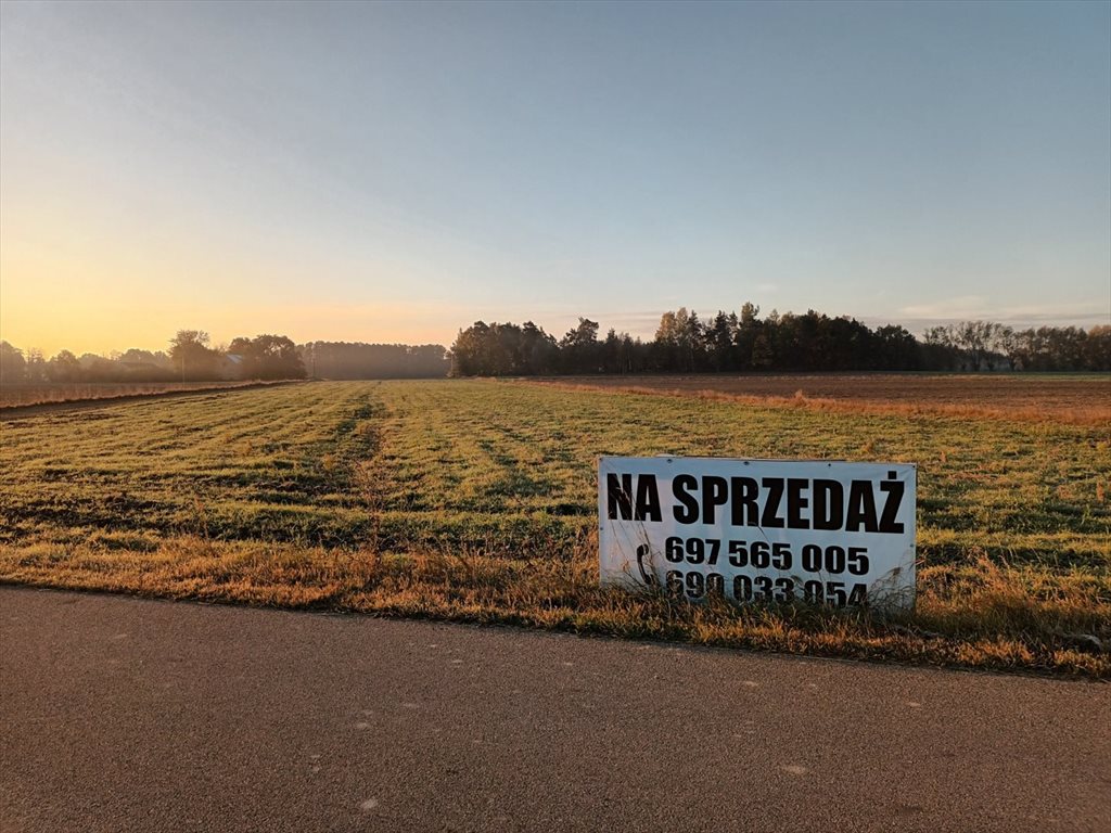 Działka 3000 m² z warunkami zabudowy przy asfaltowej drodze Nowe Wrońska  3 000m2 Foto 1