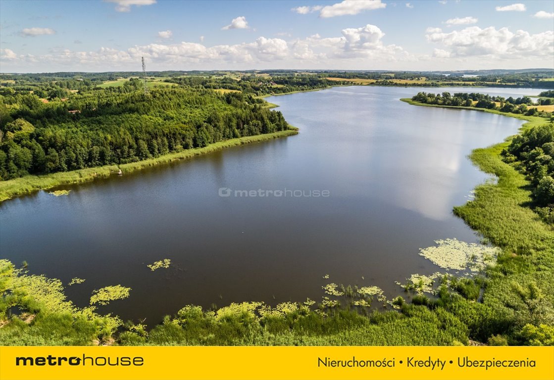 Działka siedliskowa na sprzedaż Jeziorany Kolonie  23 800m2 Foto 12