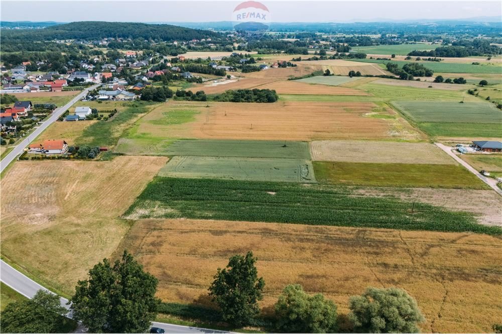 Działka siedliskowa na sprzedaż Kłokoczyn, Sarnia  3 012m2 Foto 14