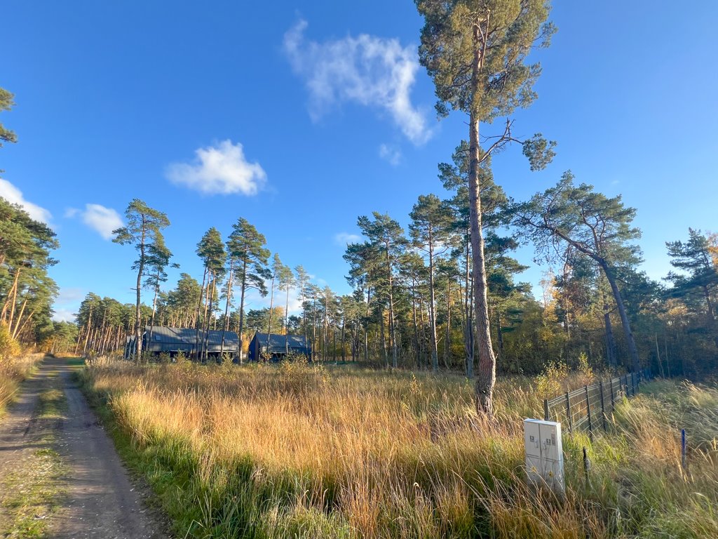 Działka budowlana na sprzedaż Dziwnów, Daglezji  1 261m2 Foto 2