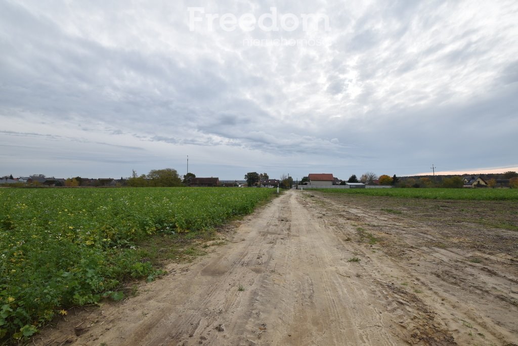 Działka budowlana na sprzedaż Świerczów  1 003m2 Foto 4