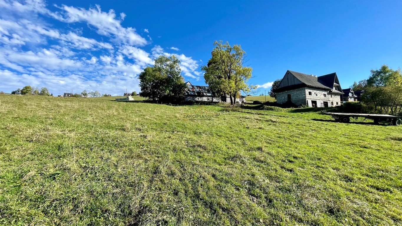 Działka budowlana na sprzedaż Sierockie  5 883m2 Foto 6