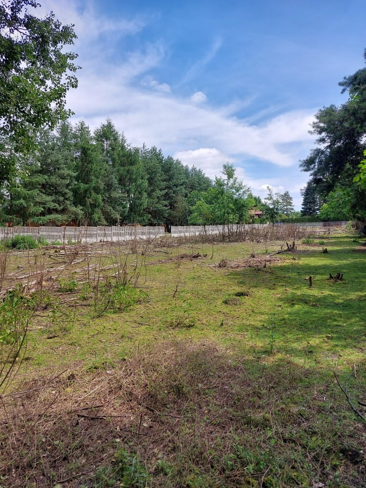 Działka budowlana na sprzedaż Rybnik, Kamień, Jodłowa  2 674m2 Foto 8