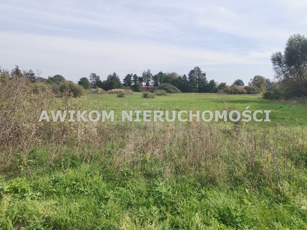 Działka przemysłowa 14,7ha z warunkami zabudowy w Grodzisku Grodzisk Mazowiecki, Łąki  14 650m2 Foto 1