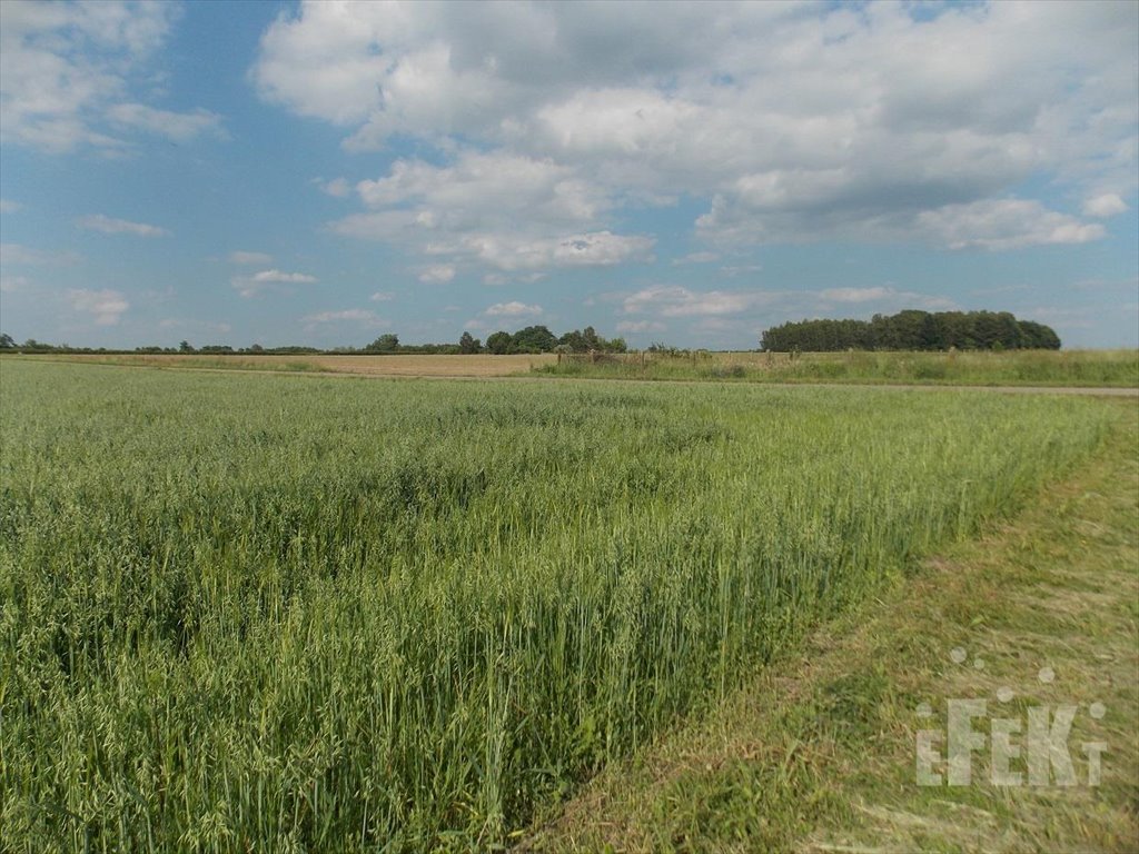 Działka rolna na sprzedaż Stary Łajszczew  50 406m2 Foto 1