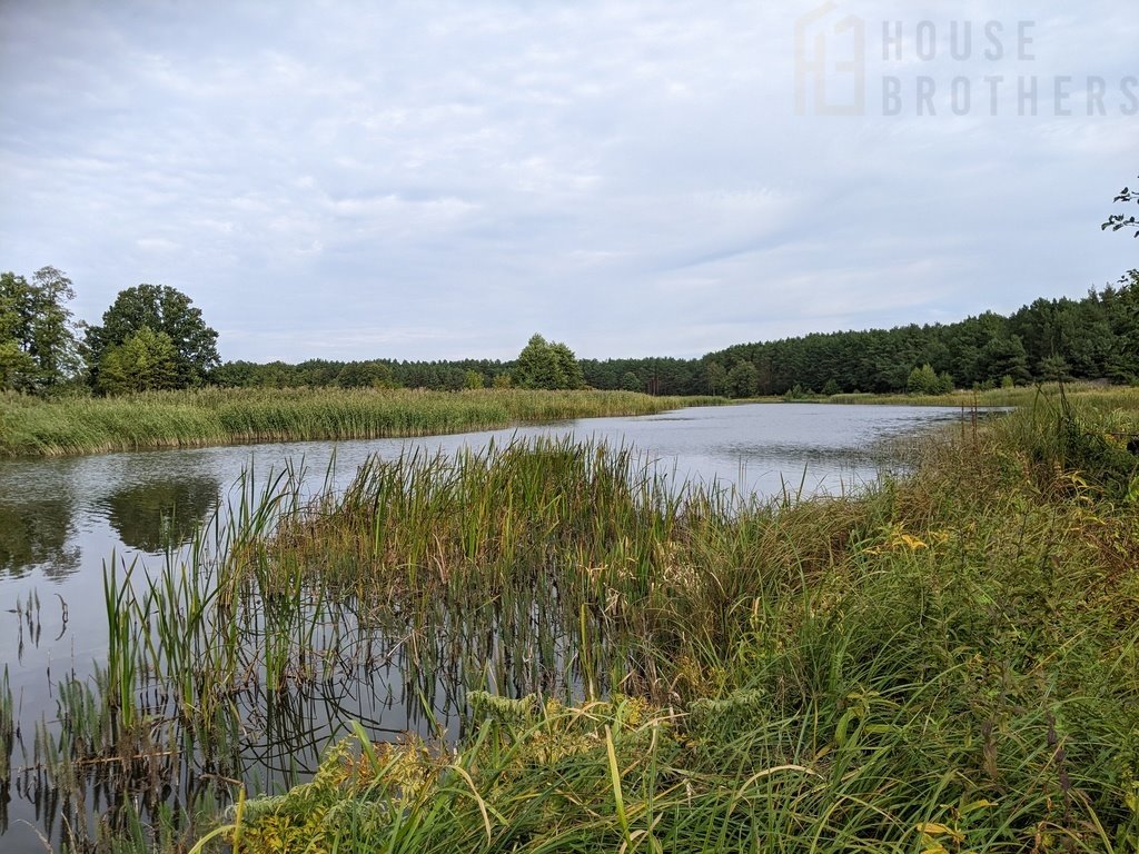 Działka rolna na sprzedaż Chełsty  3 000m2 Foto 10