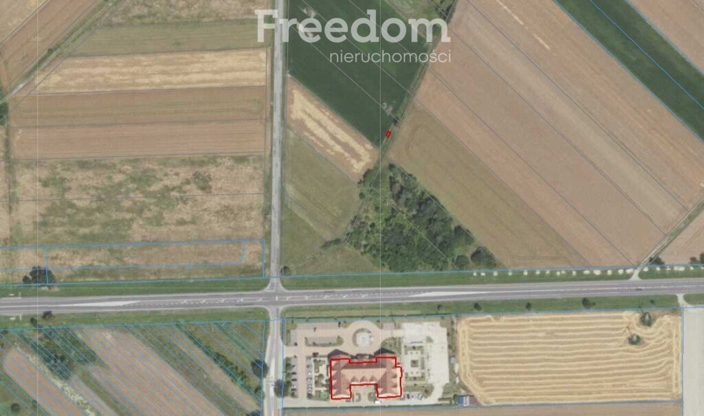 Działka rolna na sprzedaż Zaścianki  3 000m2 Foto 1