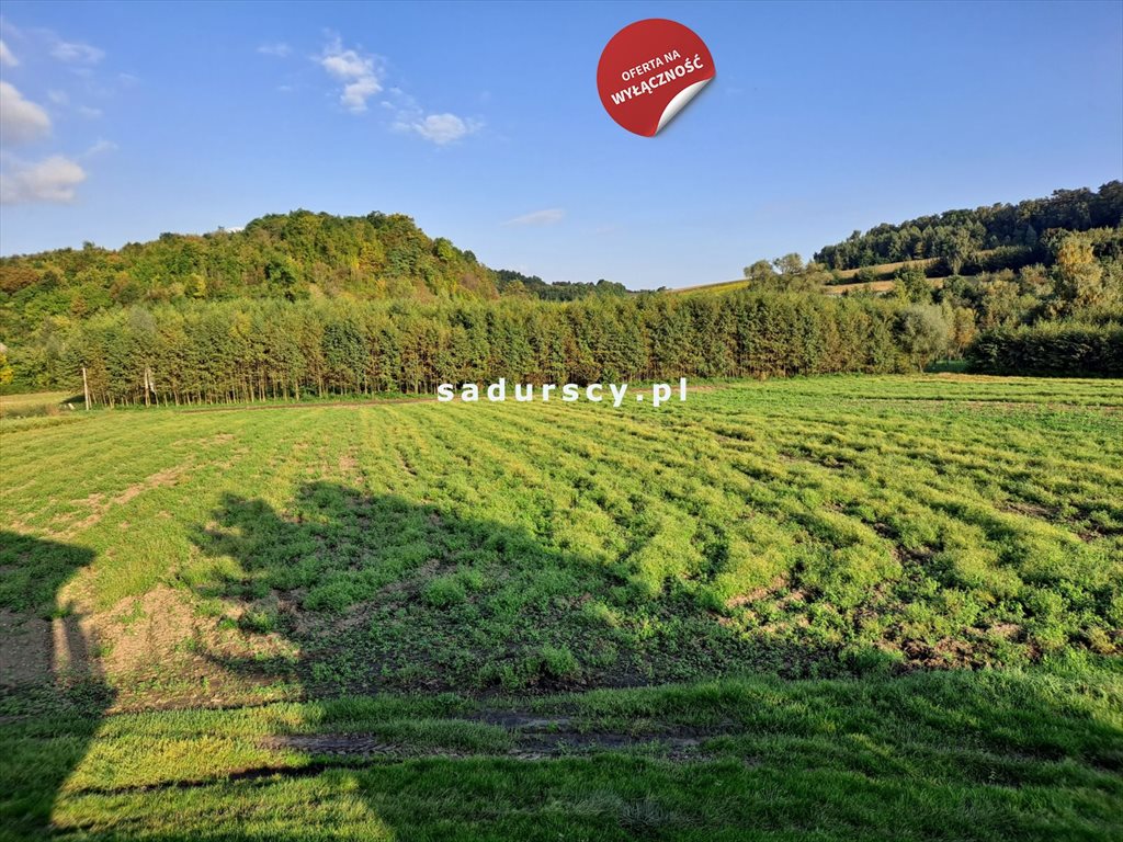 Działka budowlana 4 800 m² z mediami i pięknym widokiem Polekarcice  4 800m2 Foto 1