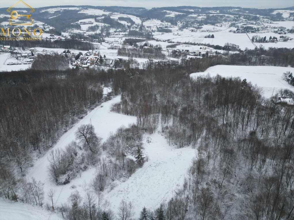 Działka inna na sprzedaż Łowczów  27 000m2 Foto 4