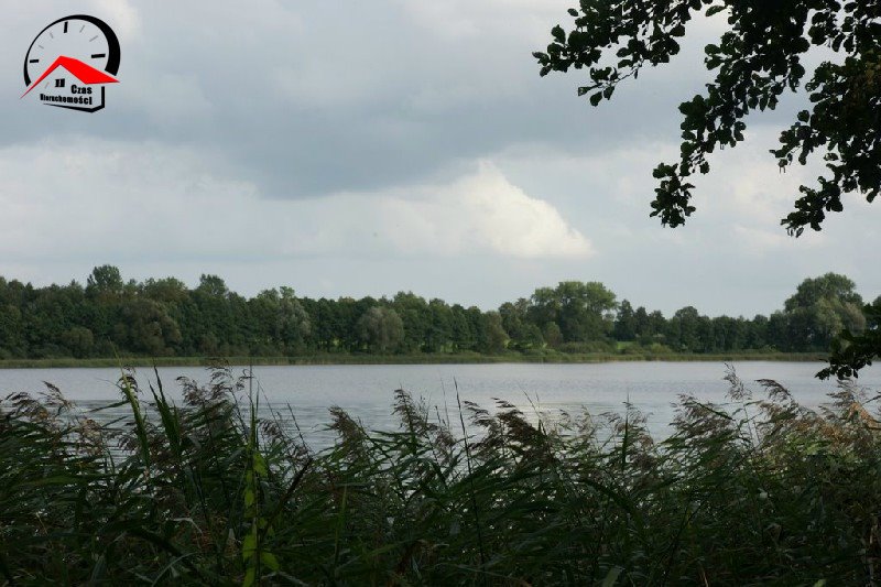 Działka gospodarstwo rolne na sprzedaż Radoszewice  3 000m2 Foto 7