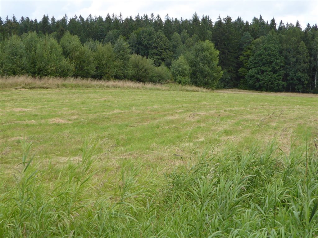 Działka budowlana na sprzedaż Polanica-Zdrój, Polanica-Zdrój  2 639m2 Foto 2