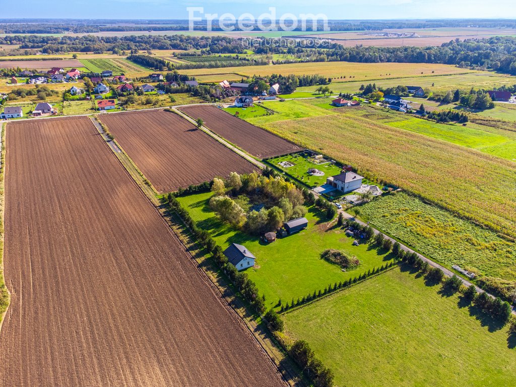 Działka siedliskowa na sprzedaż Bogdaszowice, Wiśniowa  6 528m2 Foto 3