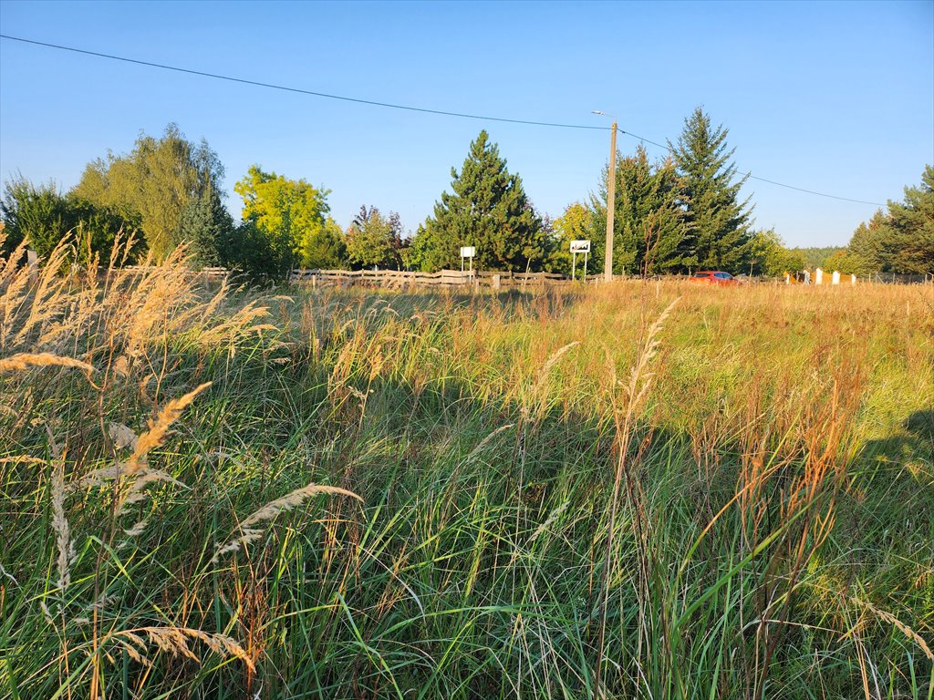 Działka budowlana na sprzedaż Przybyszewo, Henrykowska  2 548m2 Foto 10