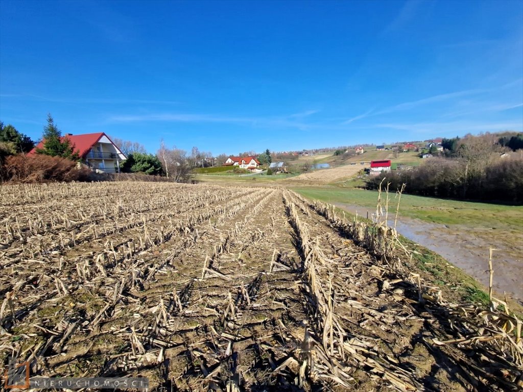 Działka budowlana na sprzedaż Garliczka  2 333m2 Foto 3