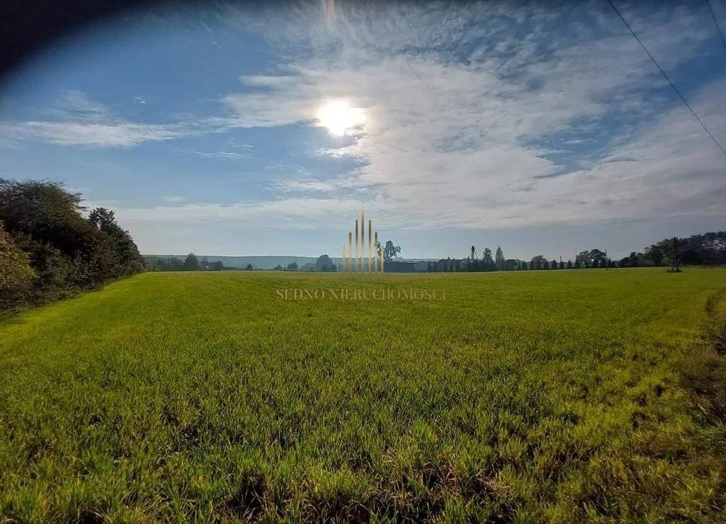 Działka inna na sprzedaż Gościeradz  3 000m2 Foto 1