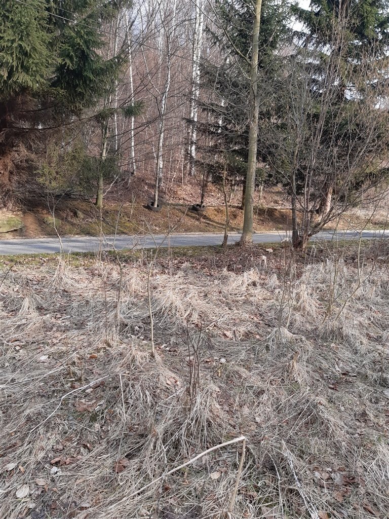 Malownicza działka 4 335 m² z fundamentami i strumieniem Niedźwiedzica  4 335m2 Foto 1