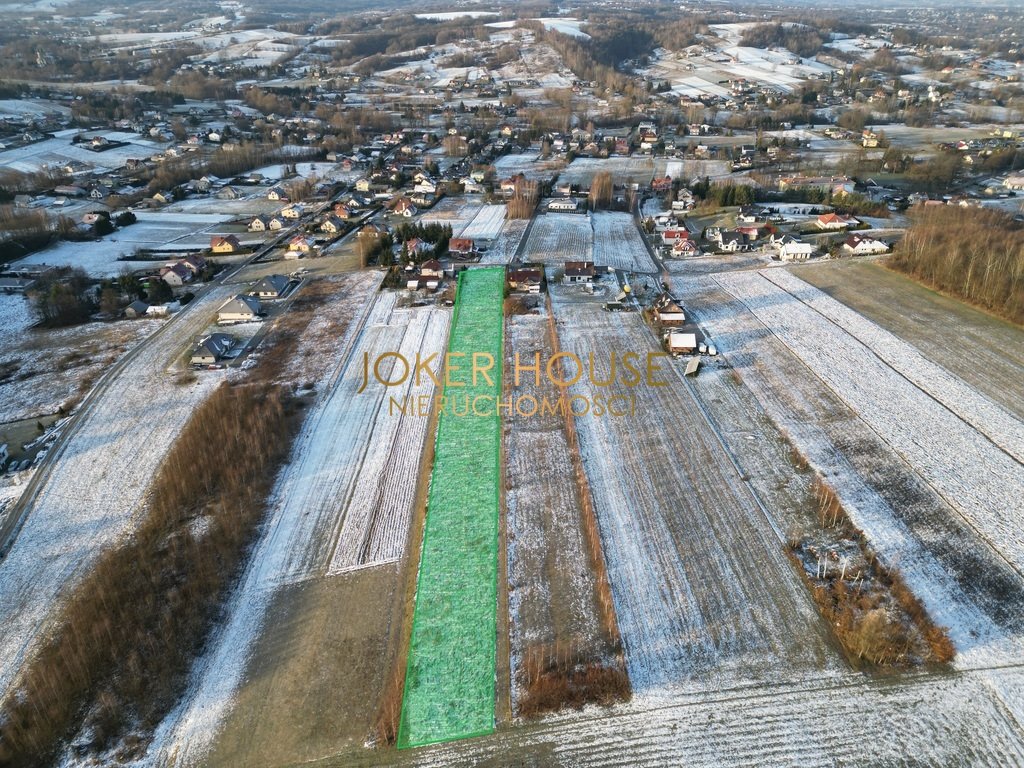 Działka rolna na sprzedaż Borek Stary  5 500m2 Foto 7