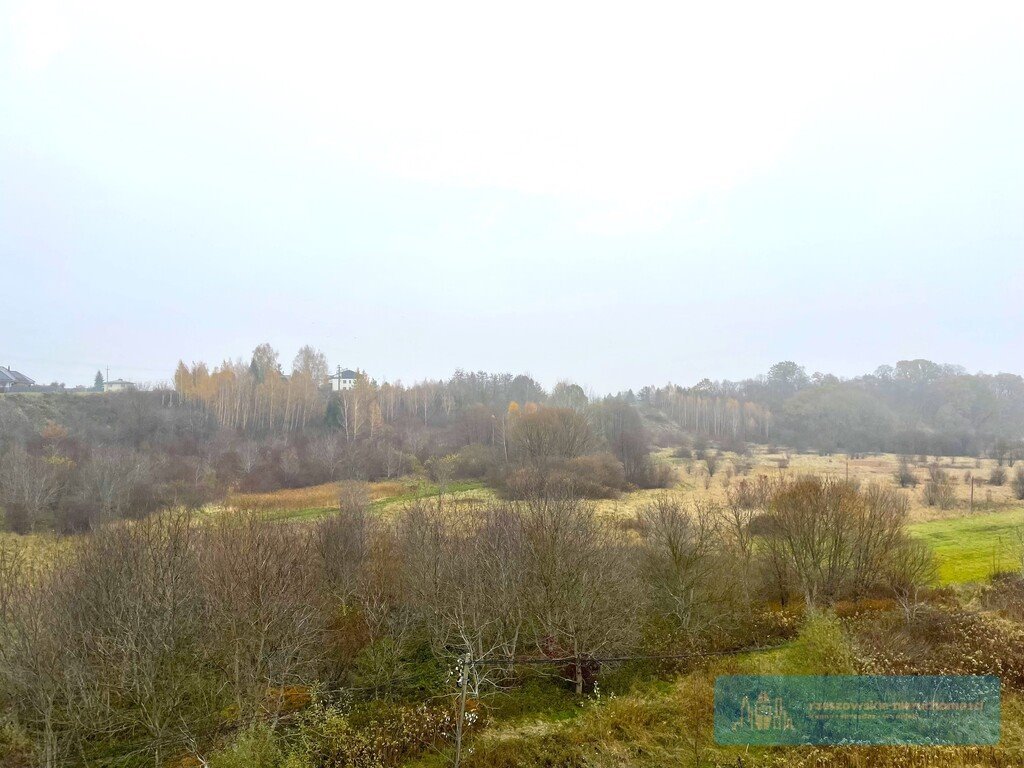 Działka rolna na sprzedaż Rzeszów  5 000m2 Foto 4