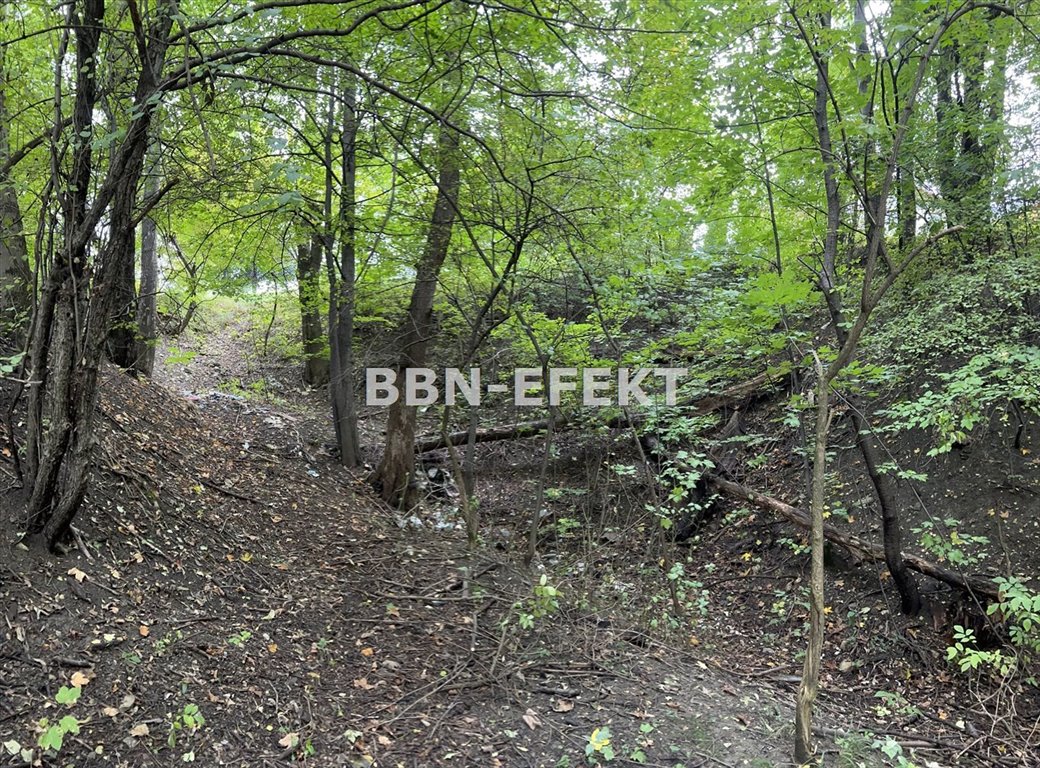 Działka inna na sprzedaż Bielsko-Biała, Lipnik  3 571m2 Foto 6