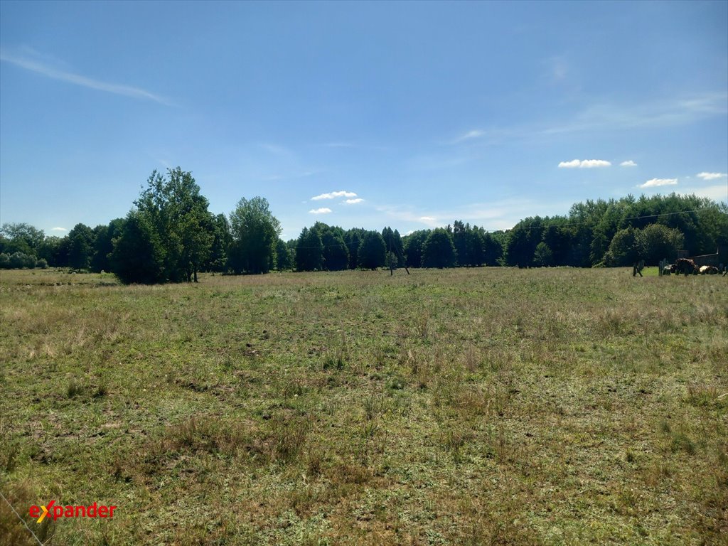 Duża działka 7,37 ha z siedliskiem i dostępem do mediów Józefowo  73 700m2 Foto 1