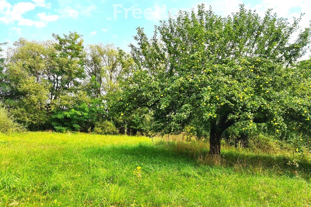 Działka komercyjna na sprzedaż Nart  3 270m2 Foto 2