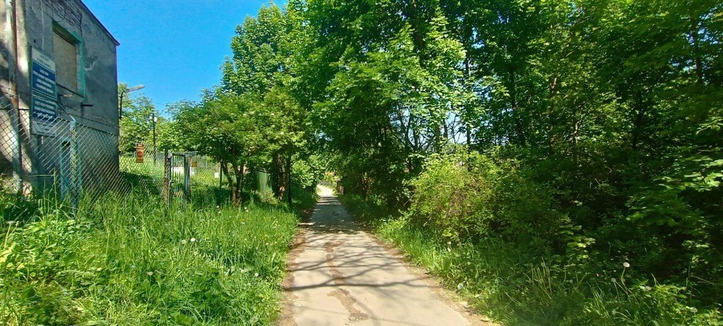 Działka budowlana na sprzedaż Chęciny  900m2 Foto 17