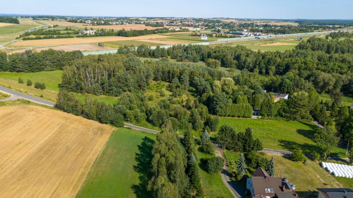 Działka budowlana na sprzedaż Woźniki, Sulów  1 319m2 Foto 7