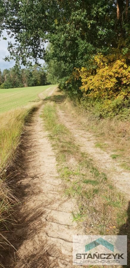 Działka rolna na sprzedaż Sieraków  16 000m2 Foto 2