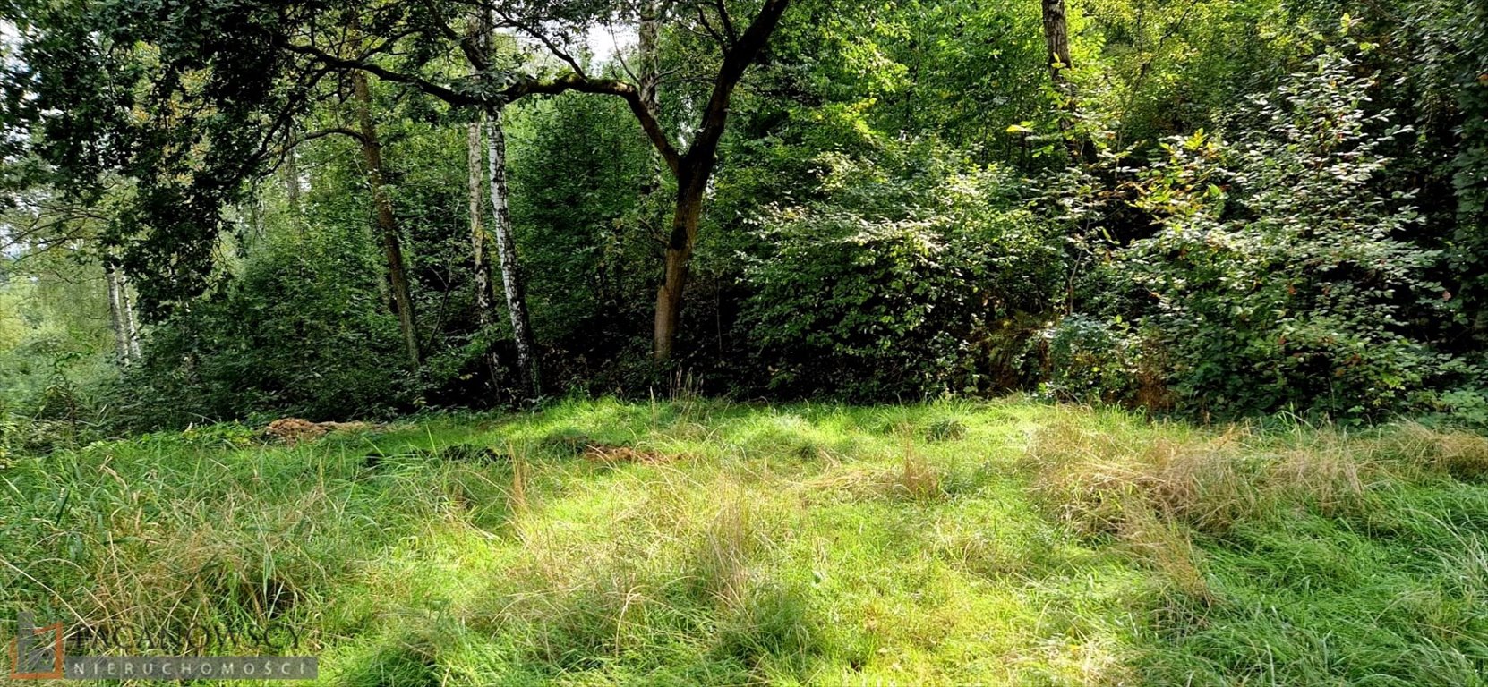 Działka budowlana na sprzedaż Rząska  10 600m2 Foto 1