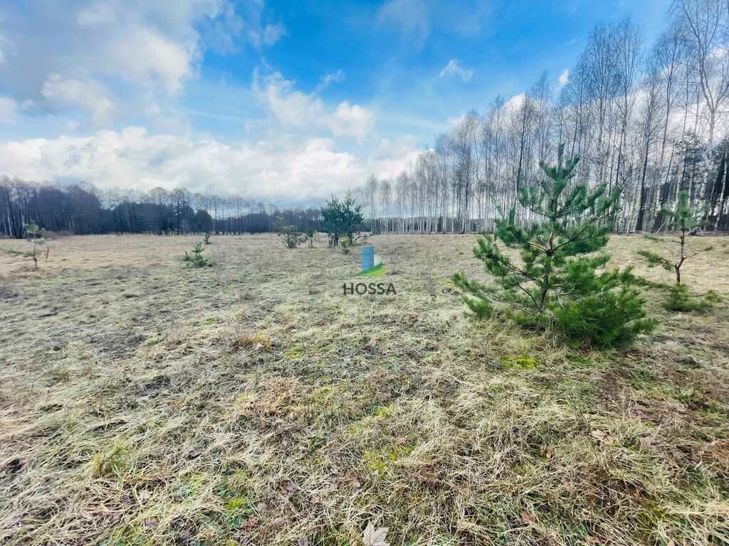 Działka budowlana na sprzedaż Natać Wielka  26 818m2 Foto 13