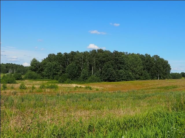 Działka leśna na sprzedaż Wołowno  19 700m2 Foto 6