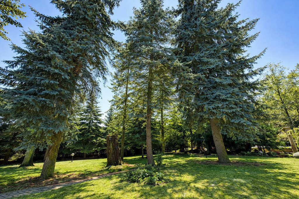 Do sprzedania przestronny dom z 8 pokoi, tarasem i ogrodem Łódź, Bałuty, Warszawska  280m2 Foto 1