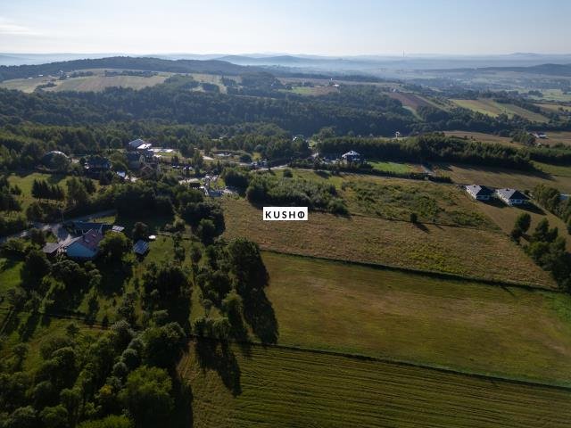 Działka budowlana na sprzedaż Oblęgór, Studzianki  12 500m2 Foto 9